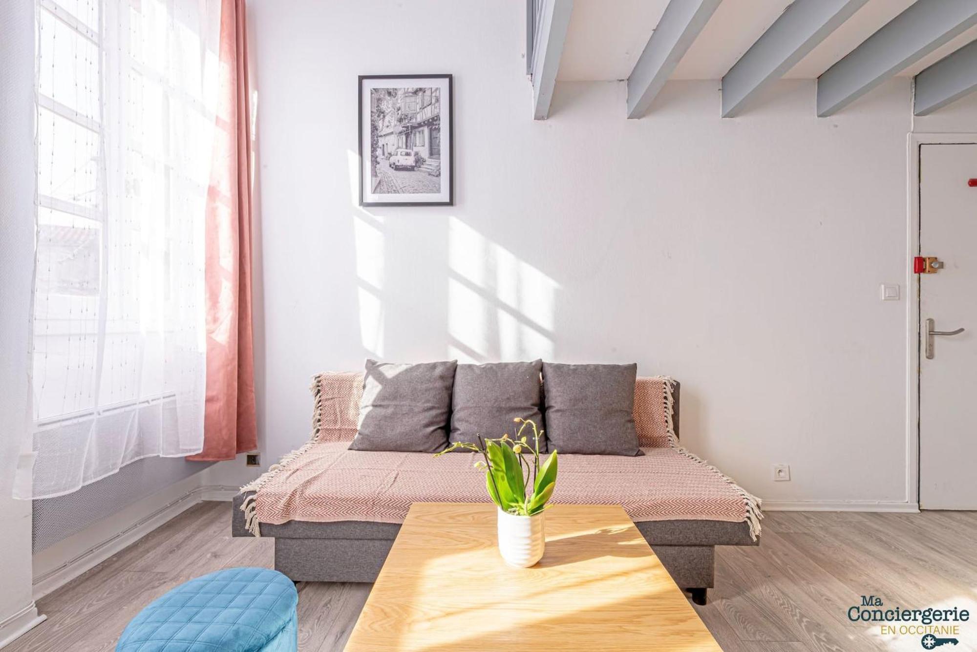 Appartamento Duplex Champetre : Gare, Marche, Hypercentre Tolosa Esterno foto